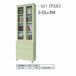 כוננית 2DL+3M