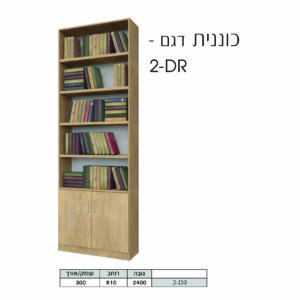 כוננית דגם 2DR