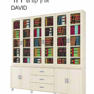 ארון קודש דוד